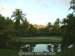 Palmas Del Mar Golf,palmas ,Humacao Puerto Rico Camera DC310 by Pedro Hernandez 